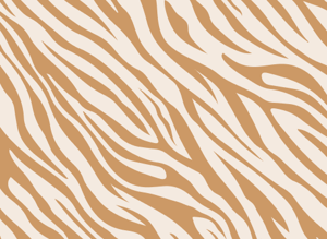 Wunderkind_News_Chino5_501x366