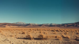 2026-Braze-Idenity-background