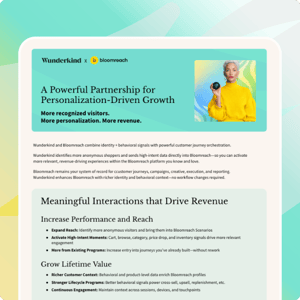 Bloomreach_Onepager_Image (1)
