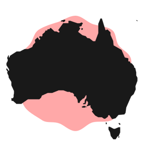 2025-AUS-Consumer-Insights-Report-Asset-Image