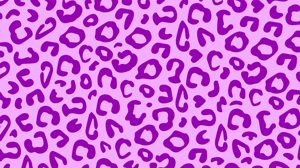 leader-bg-plum_plum500-lg