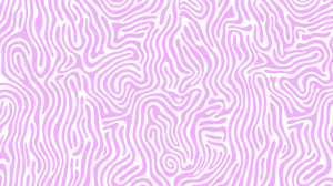 shapeshifter-3